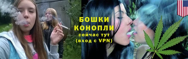 ГАЛЛЮЦИНОГЕННЫЕ ГРИБЫ Заволжск