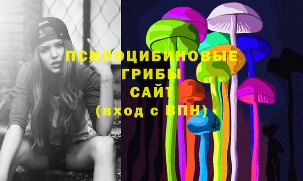 Альфа ПВП Зеленокумск
